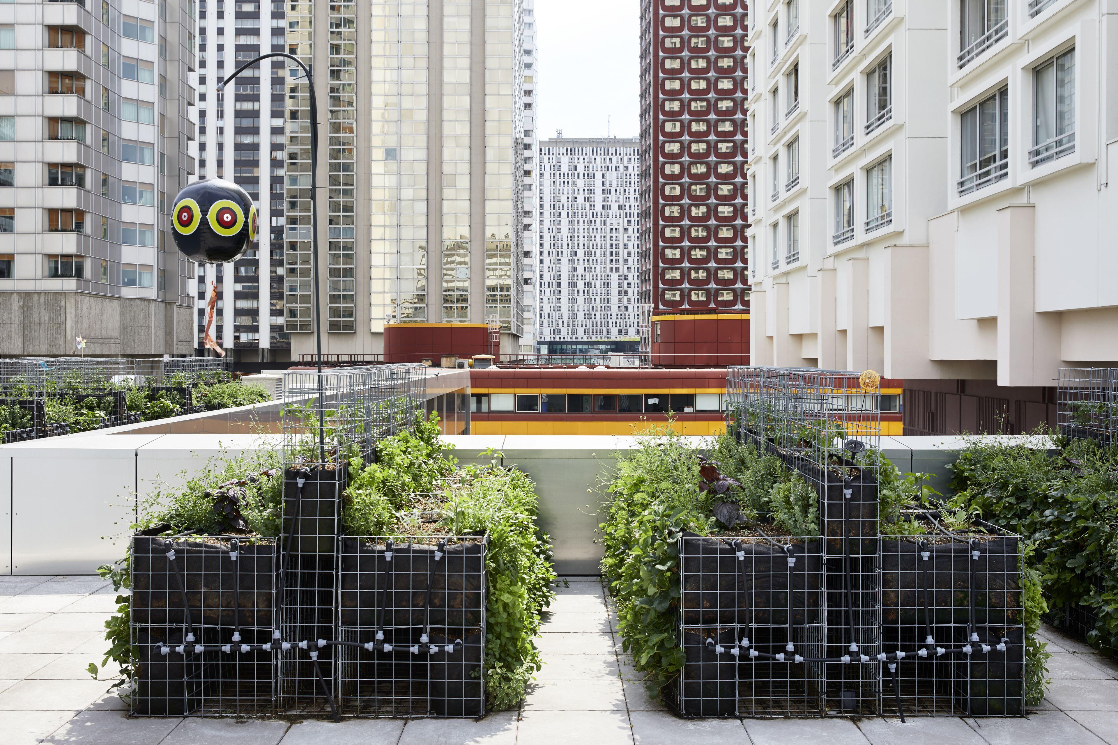 Yooma Urban Tour Eiffel